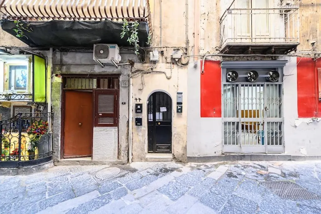Casa Fefe Apartment Naples 0*,